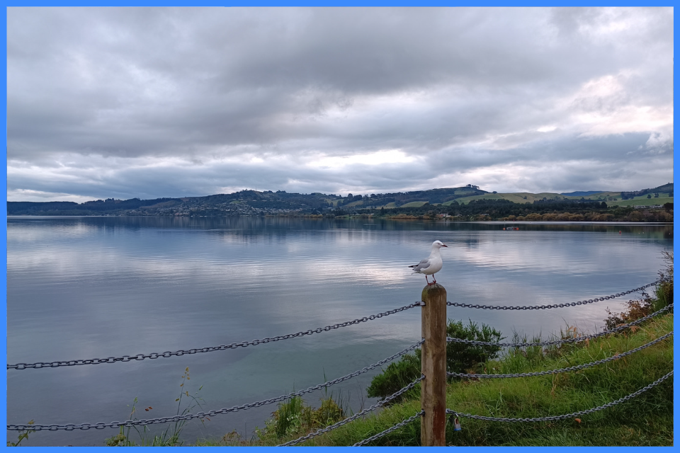 Lake Taupo – největší novozélandské jezero