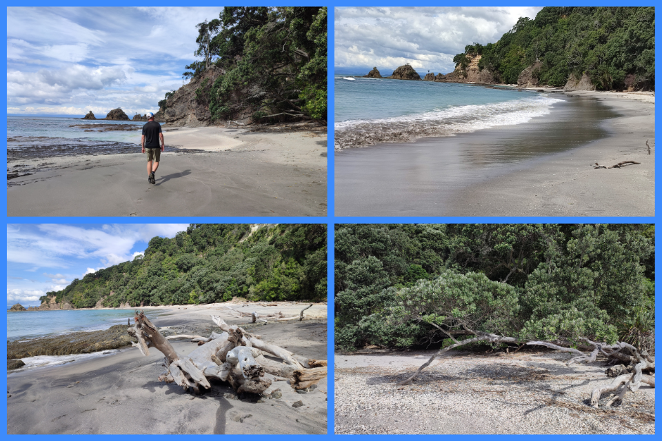 Ngā Tapuwae o Toi Trail 2