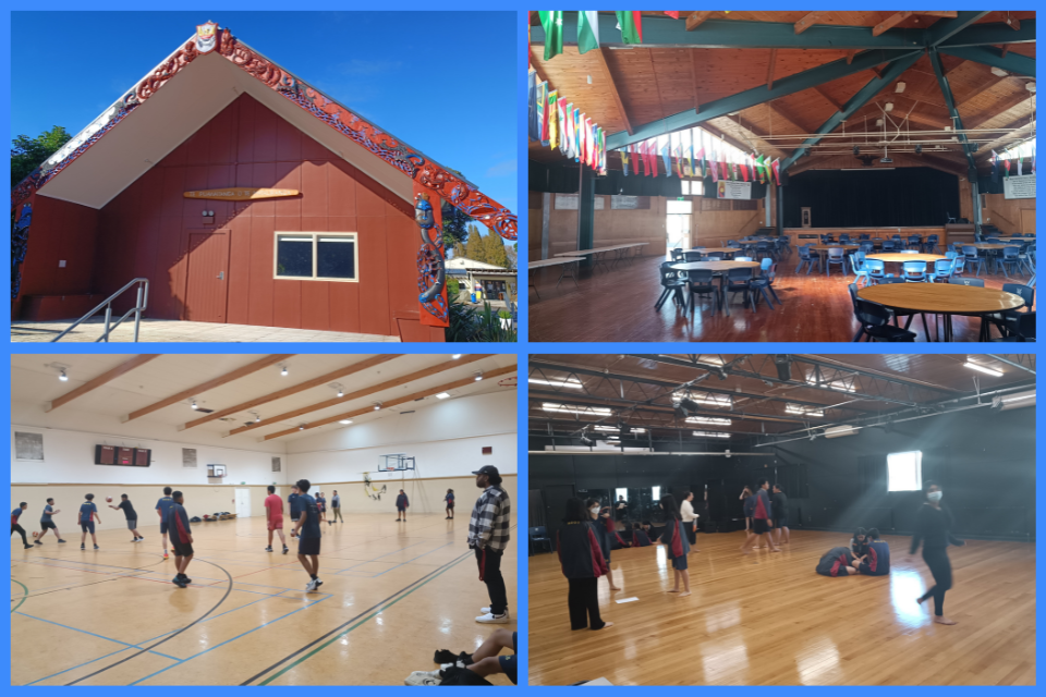 Škola Mount Roskill Grammar School – Auckland, Nový Zéland