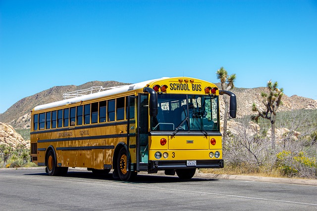 school-bus-4773905_640